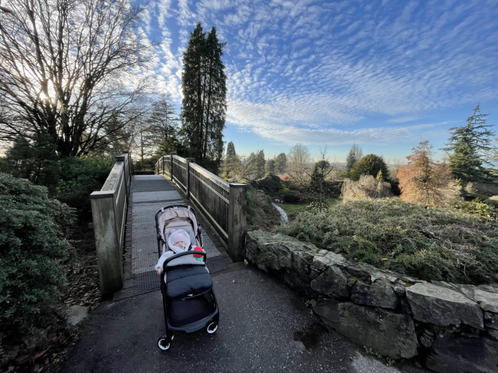 The best travel stroller: bugaboo butterfly